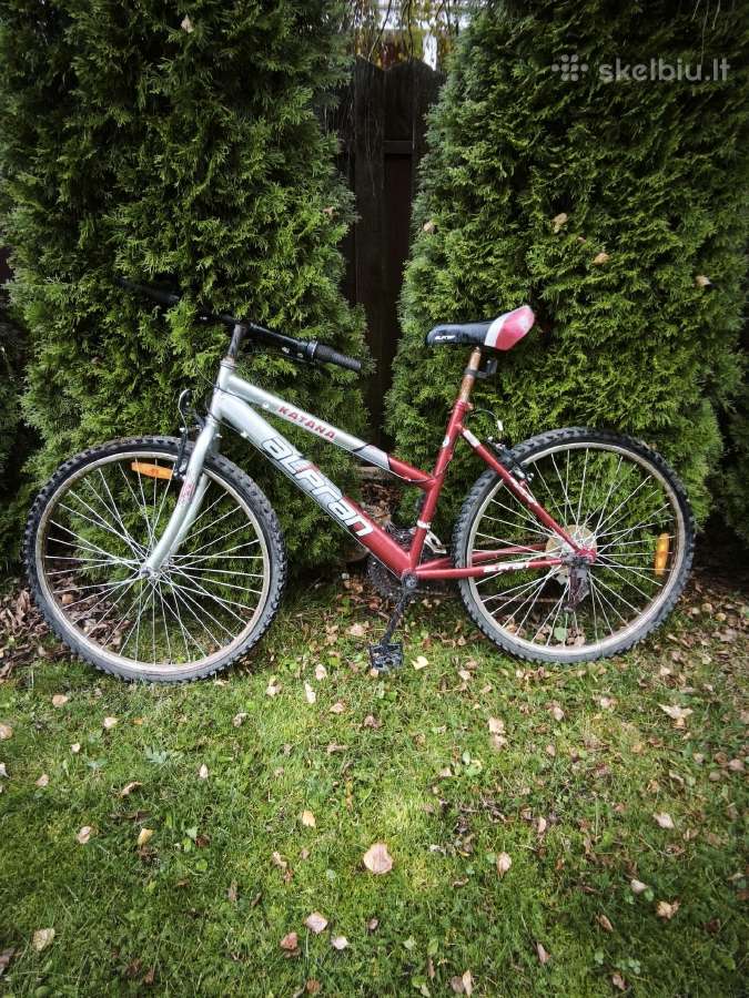 4 dviračiai - nuotraukos Nr. 4