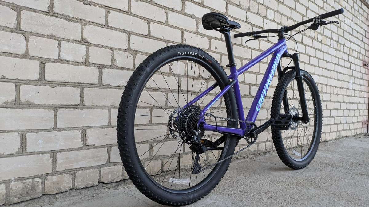 Specialized Rockhopper 29er - nuotraukos Nr. 2
