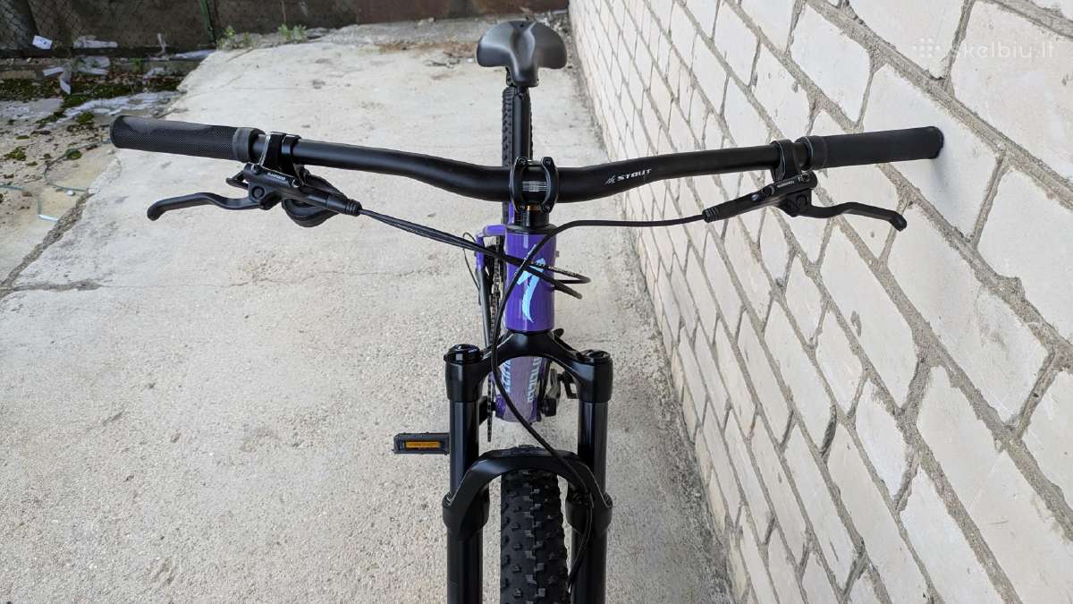 Specialized Rockhopper 29er - nuotraukos Nr. 10