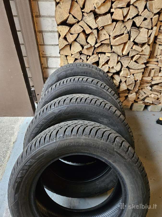 Barum Polaris 6, R16 205/60 96h XL - nuotraukos Nr. 2
