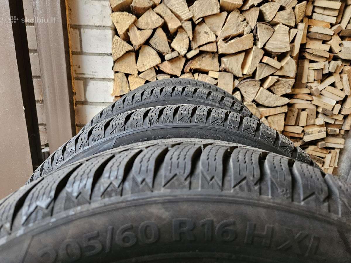 Barum Polaris 6, R16 205/60 96h XL - nuotraukos Nr. 6