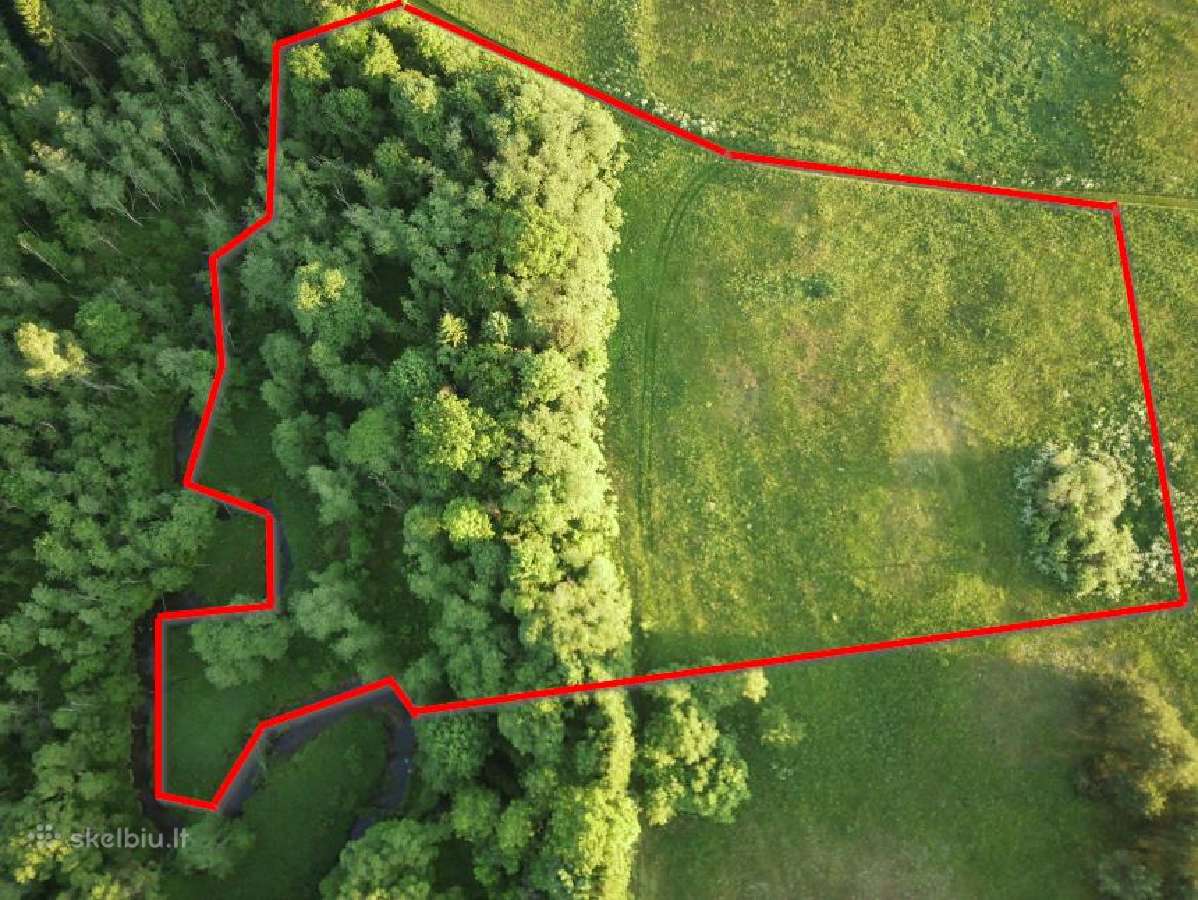 1,3156ha Namų Valda prie upės (5 km nuo Molėtų) - nuotraukos Nr. 3