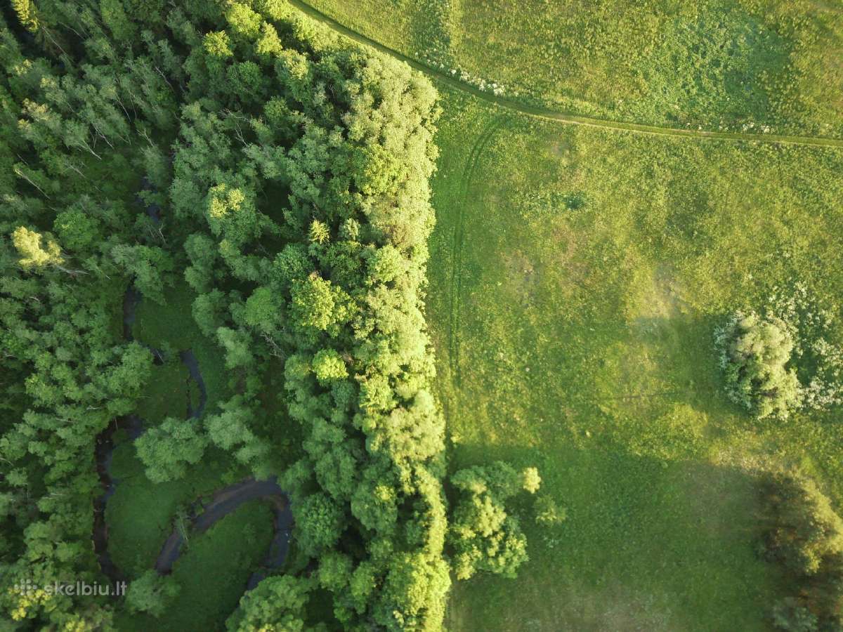 1,3156ha Namų Valda prie upės (5 km nuo Molėtų) - nuotraukos Nr. 4