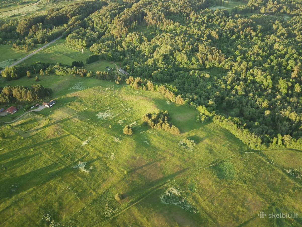 1,3156ha Namų Valda prie upės (5 km nuo Molėtų) - nuotraukos Nr. 5