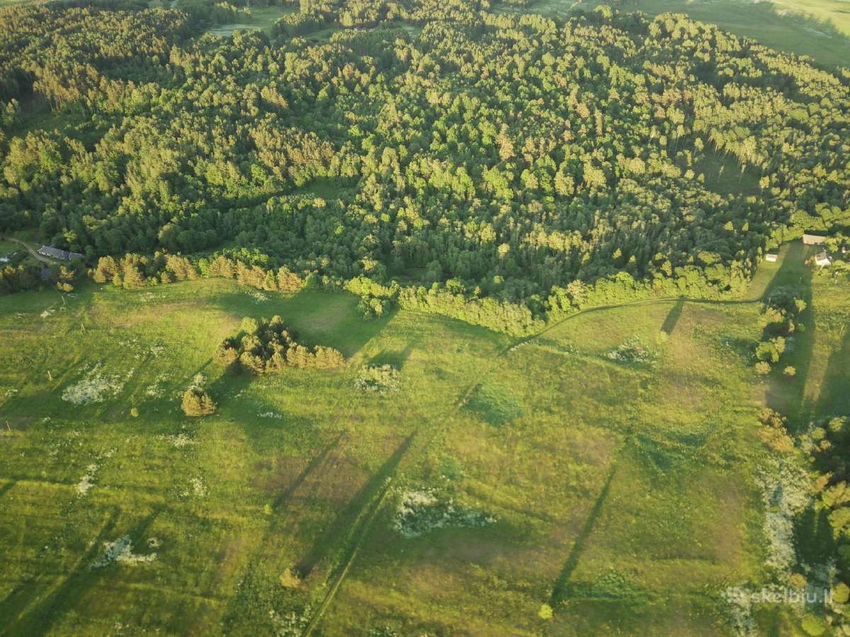 1,3156ha Namų Valda prie upės (5 km nuo Molėtų) - nuotraukos Nr. 6