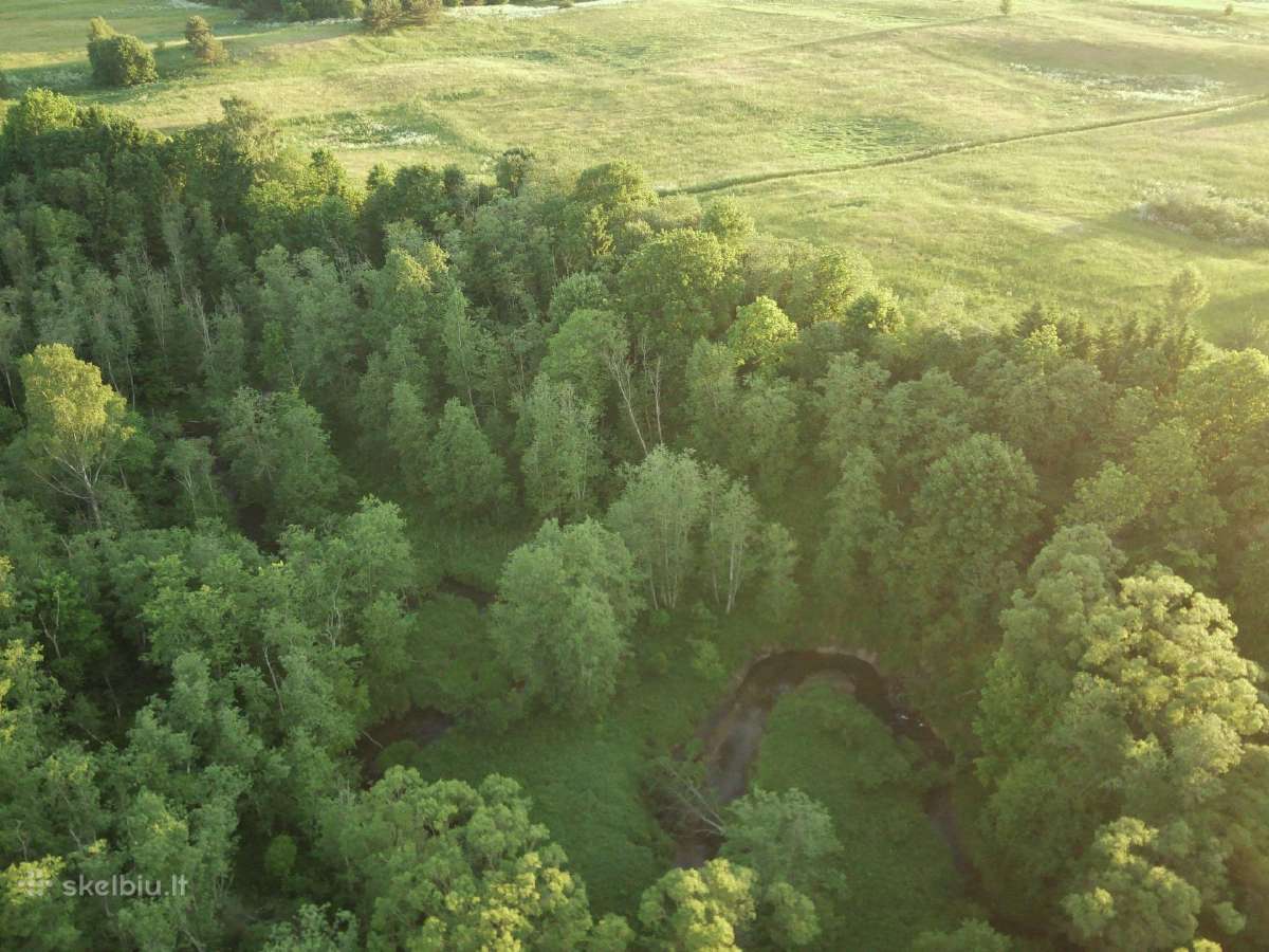 1,3156ha Namų Valda prie upės (5 km nuo Molėtų) - nuotraukos Nr. 7