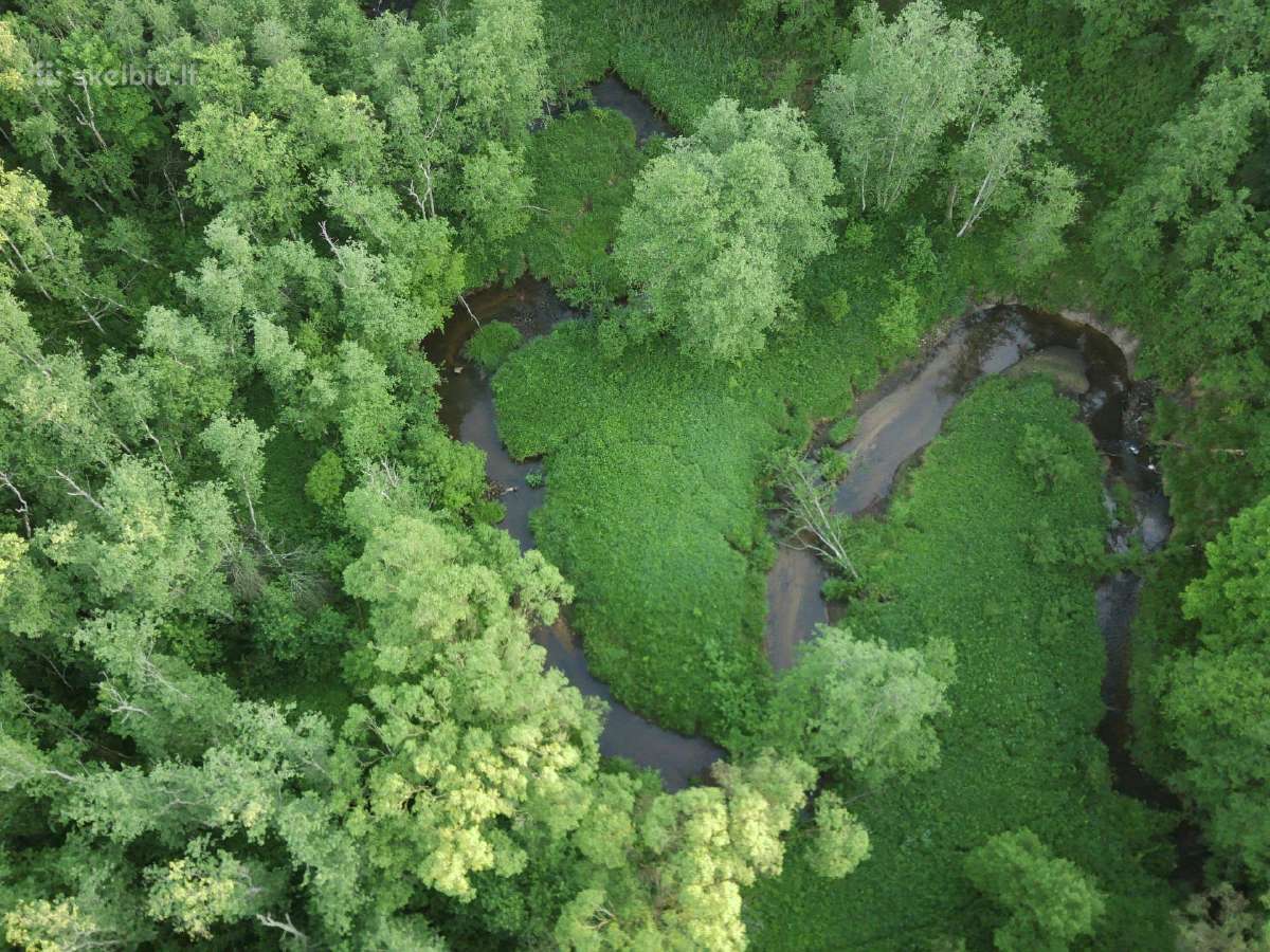 1,3156ha Namų Valda prie upės (5 km nuo Molėtų) - nuotraukos Nr. 9