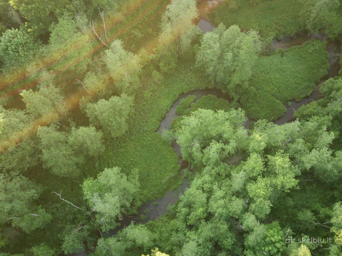 1,3156ha Namų Valda prie upės (5 km nuo Molėtų) - nuotraukos Nr. 10