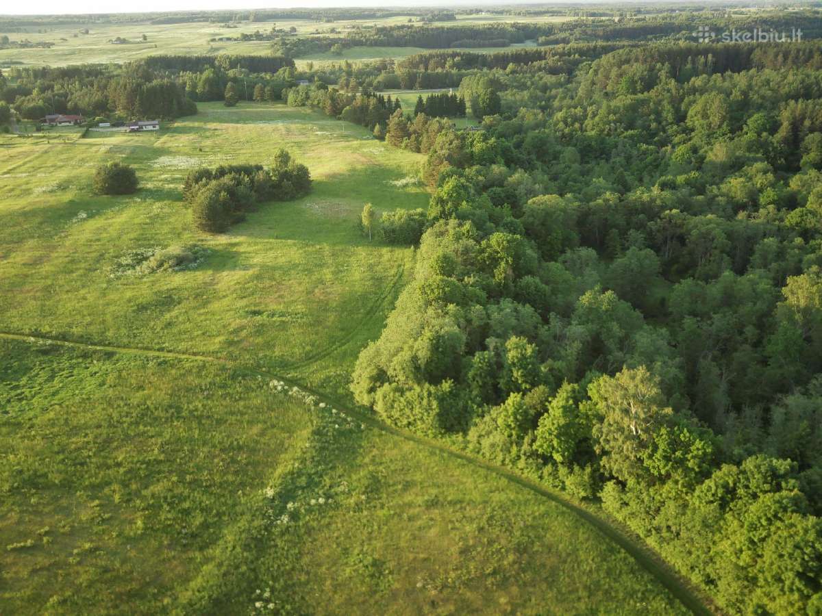 1,3156ha Namų Valda prie upės (5 km nuo Molėtų) - nuotraukos Nr. 11