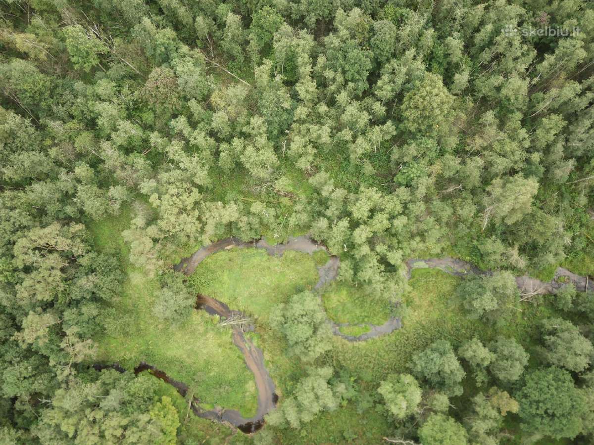 1,3156ha Namų Valda prie upės (5 km nuo Molėtų) - nuotraukos Nr. 13