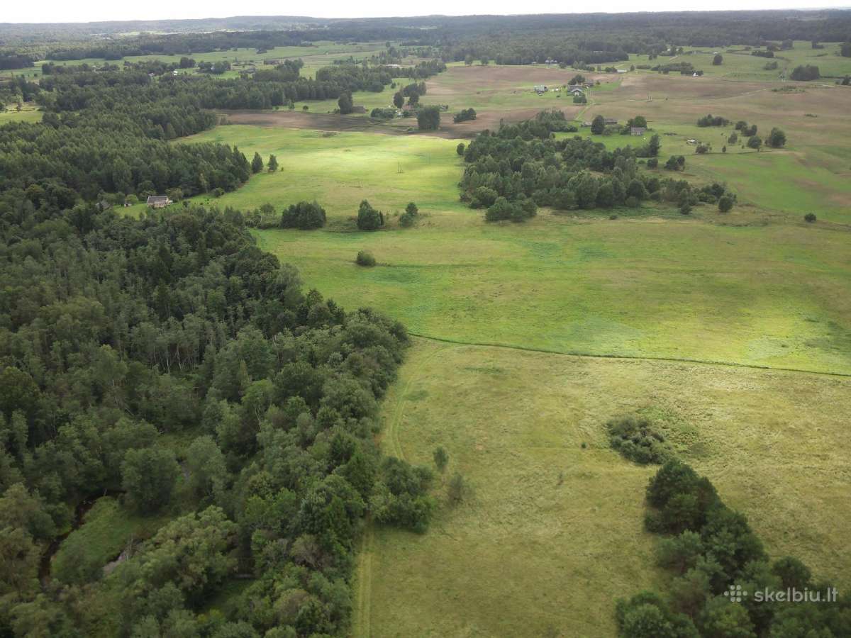 1,3156ha Namų Valda prie upės (5 km nuo Molėtų) - nuotraukos Nr. 14