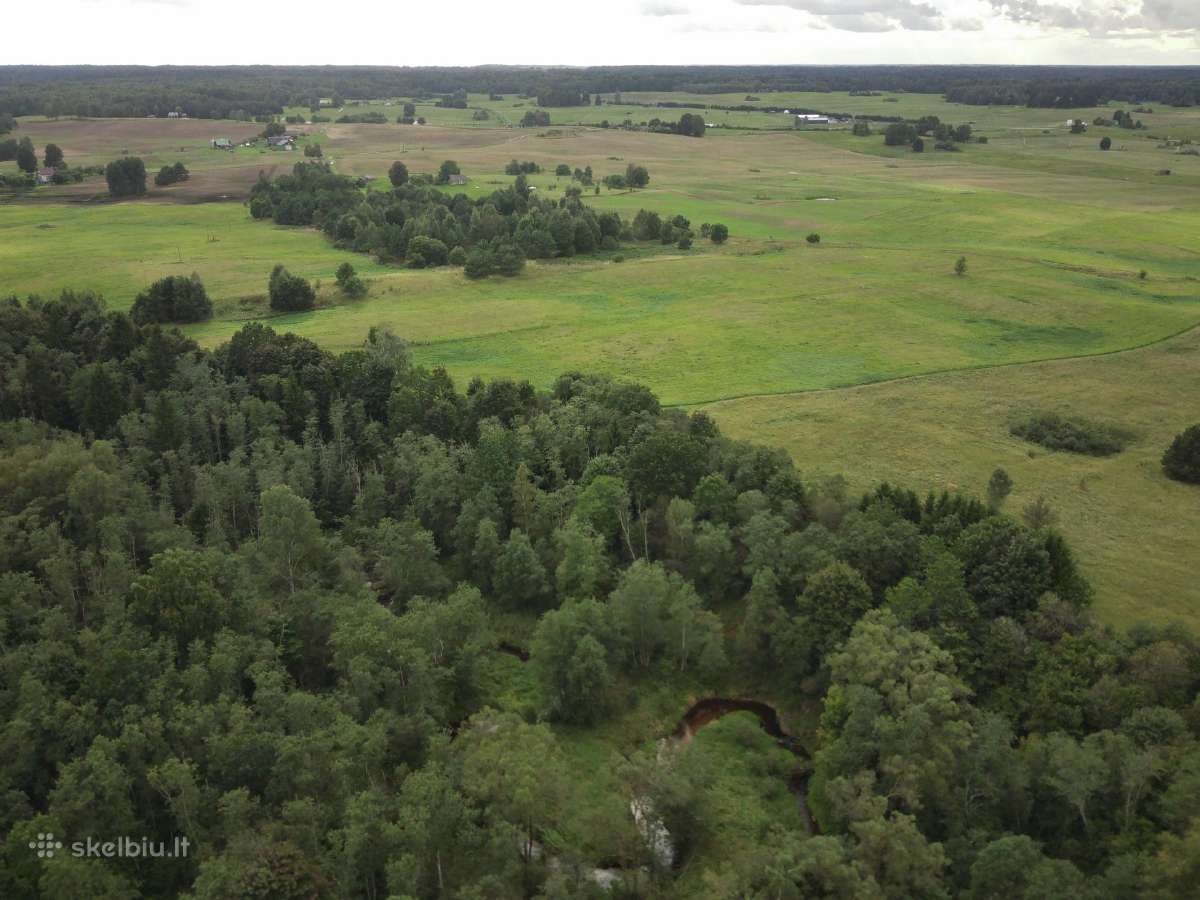1,3156ha Namų Valda prie upės (5 km nuo Molėtų) - nuotraukos Nr. 15