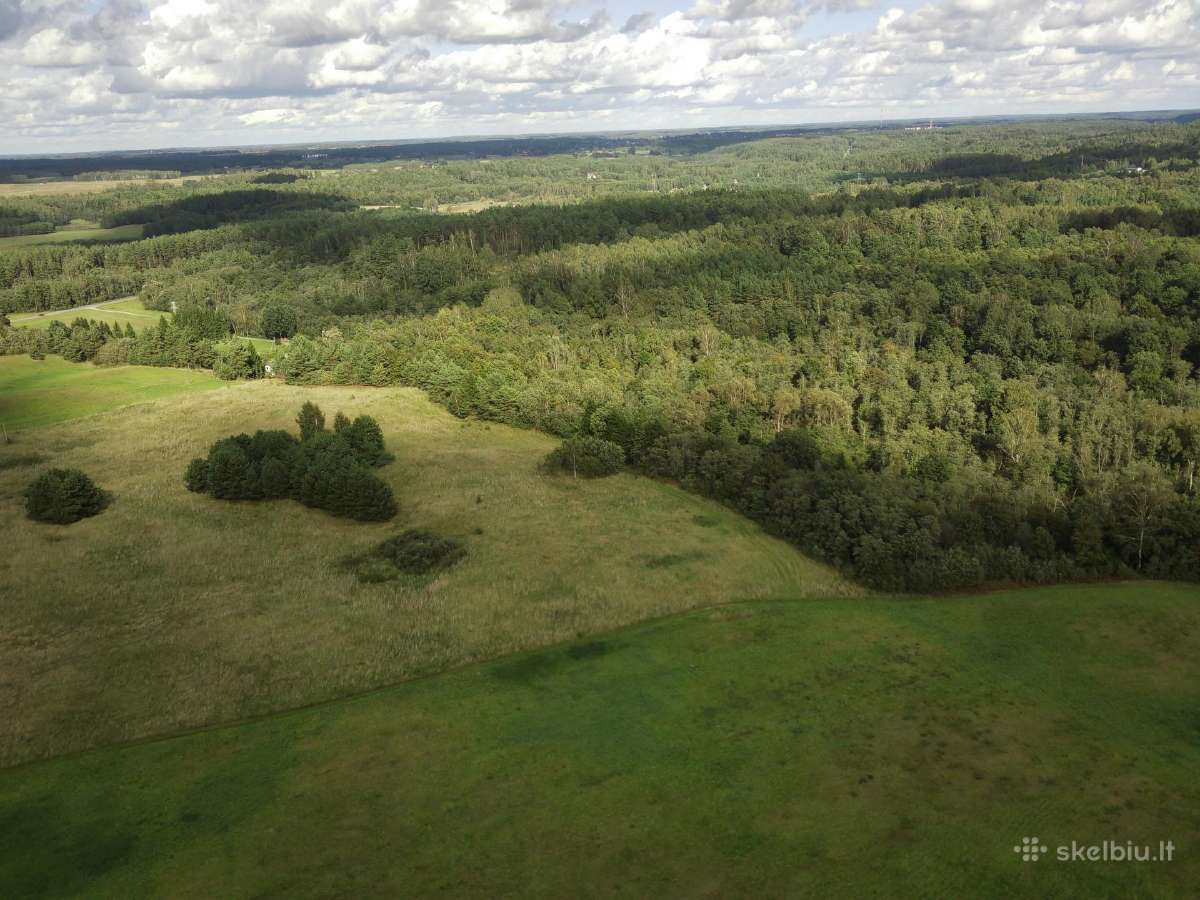 1,3156ha Namų Valda prie upės (5 km nuo Molėtų) - nuotraukos Nr. 16