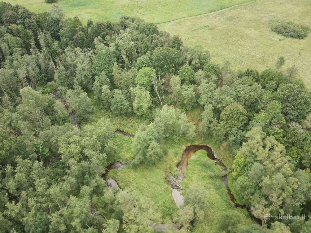 1,3156ha Namų Valda prie upės (5 km nuo Molėtų) - nuotraukos Nr. 2