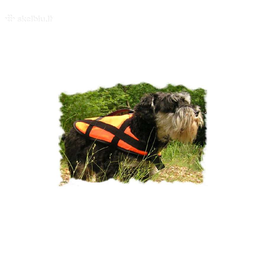 Gelbėjimosi liemenė gyvūnams Aquarius Pet - nuotraukos Nr. 3