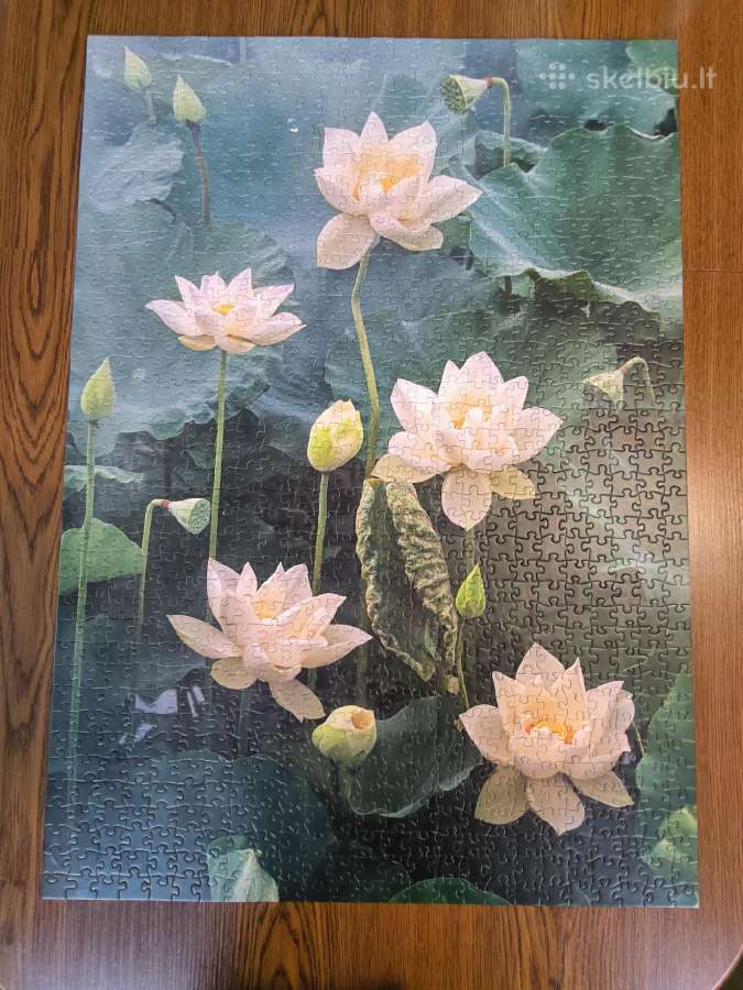 Puzzle Dėlionė - nuotraukos Nr. 3