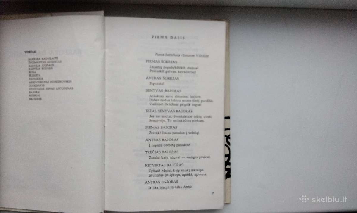 J. Grušas. Barbora Radvilaitė. Švitrigaila. Unija. - nuotraukos Nr. 4