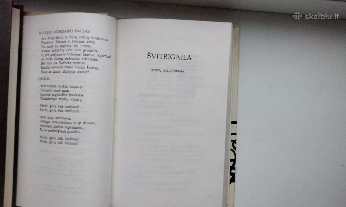 J. Grušas. Barbora Radvilaitė. Švitrigaila. Unija. - nuotraukos Nr. 7
