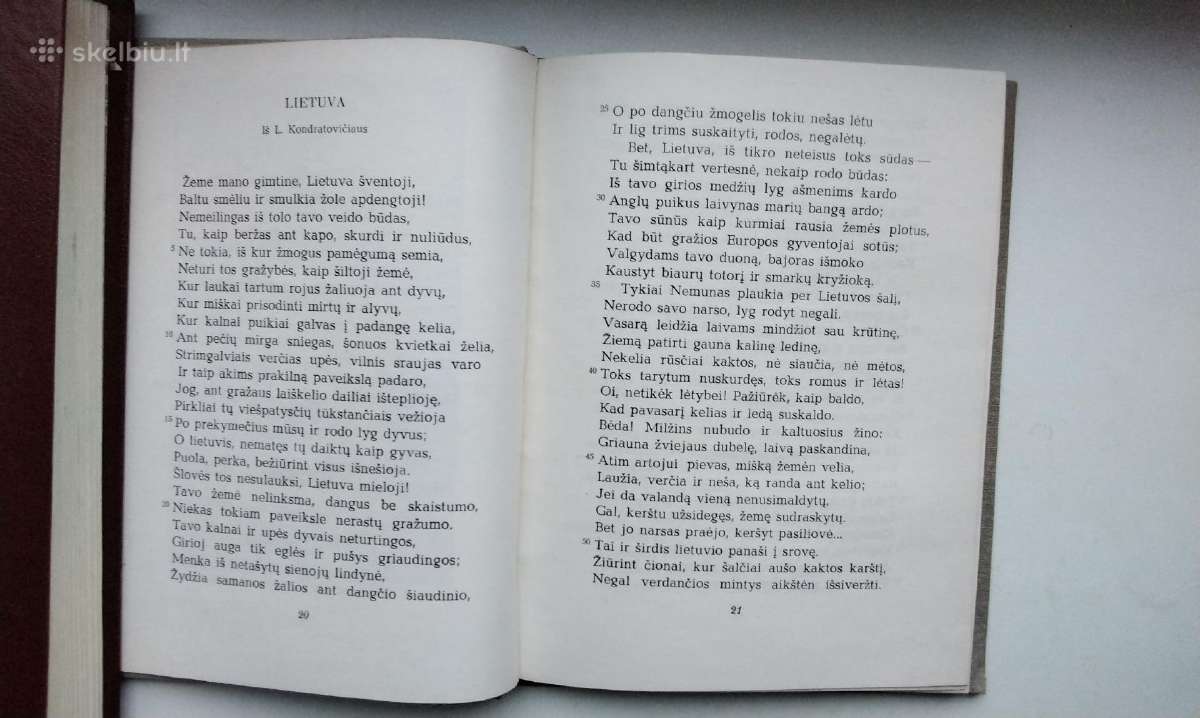S. Dagilis. Lietuviškas šiupinys. 1973 m. leid. - nuotraukos Nr. 6