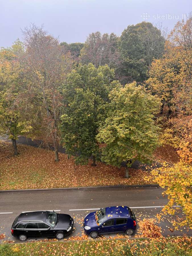 Parduodu 1 kambario butą miesto centre,prie parko - nuotraukos Nr. 5