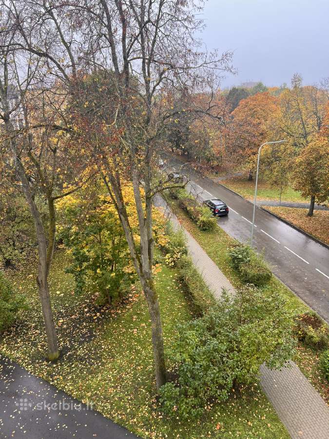 Parduodu 1 kambario butą miesto centre,prie parko - nuotraukos Nr. 6