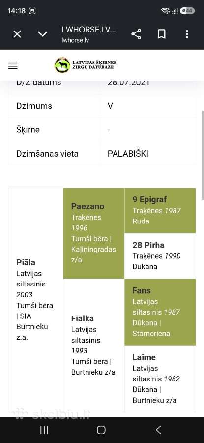 5m kastratas loydas honoverio misrunas - nuotraukos Nr. 10