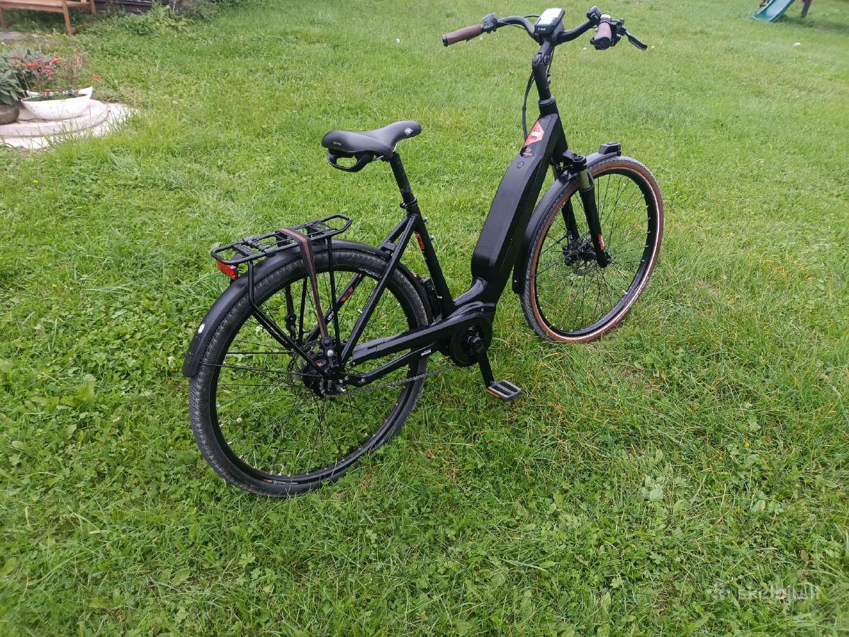 Vokiskas elektrinis dviratis su Bosch varikliu - nuotraukos Nr. 2