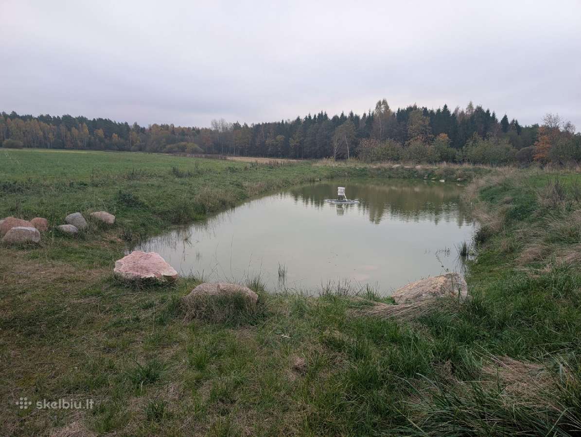Parduodama Sena Sodyba Su 1,5ha sklypu - nuotraukos Nr. 6