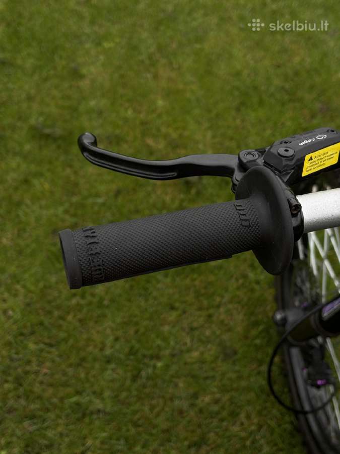 Gt73 - nuotraukos Nr. 6
