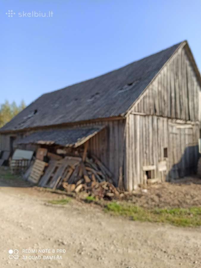 Dovanoju medinį pastatą nusigriovimui - nuotraukos Nr. 2