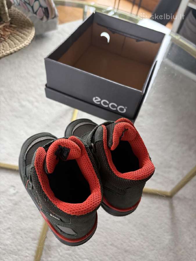 Ecco - nuotraukos Nr. 4