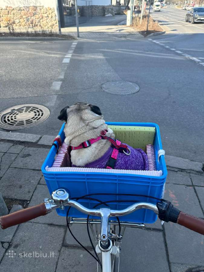 Brick lane bike moteriškas dviratis - nuotraukos Nr. 2