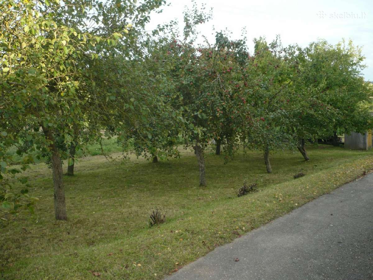 Parduodama Sodyba Gudžiūnu mstl, Kėdainiu raj. - nuotraukos Nr. 7