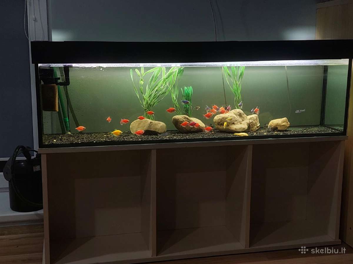 Parduodu akvariuma 135litr. - nuotraukos Nr. 2