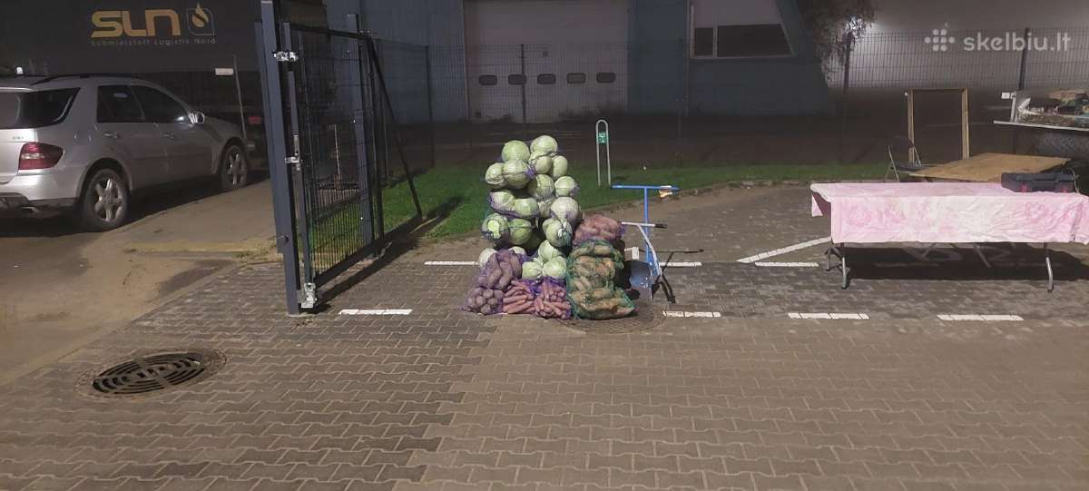 Runkeliai, pasariniai burokai, kvieciai - nuotraukos Nr. 5