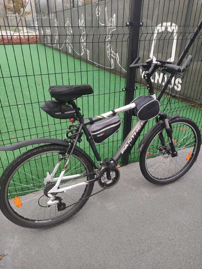 Panther X300 - nuotraukos Nr. 2