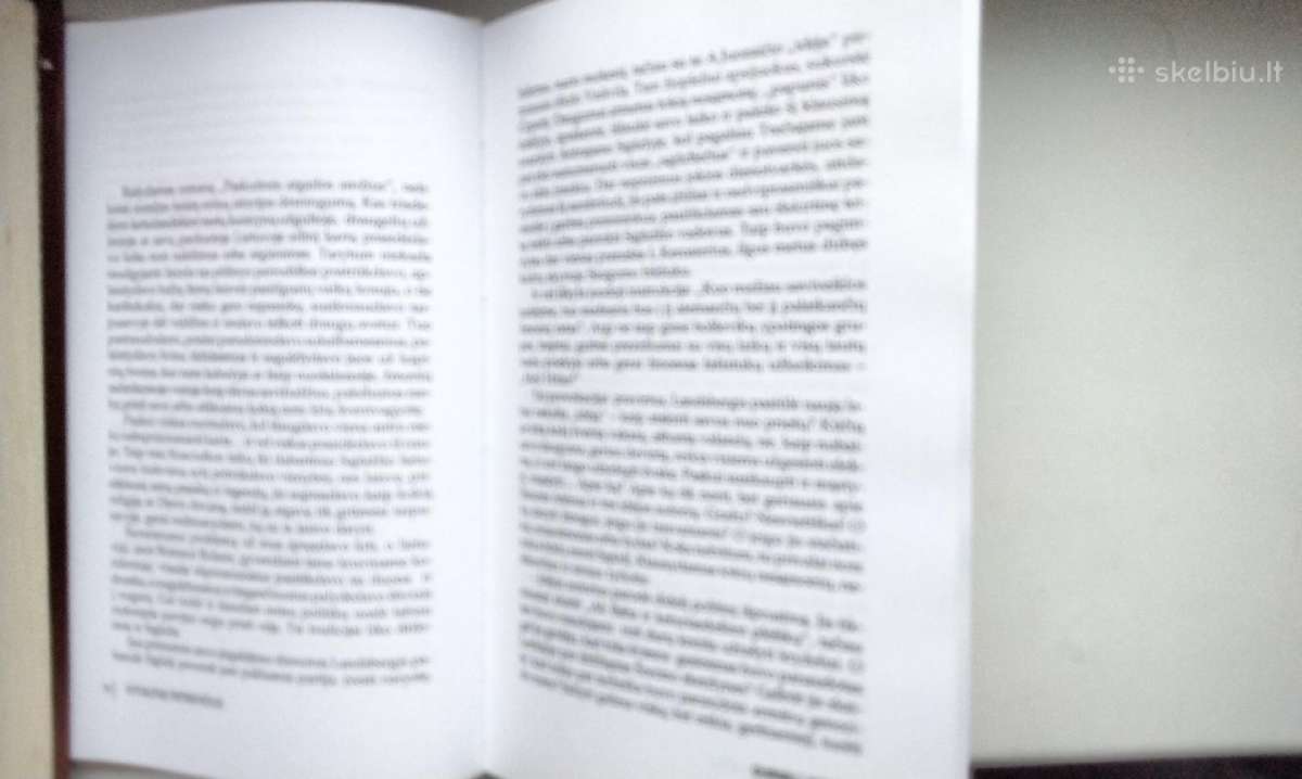 Vyt. Petkevičius. Durnių laivas - nuotraukos Nr. 6
