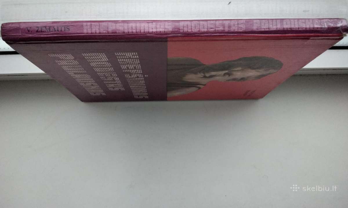 Krepšininkas Modestas Paulauskas - nuotraukos Nr. 14