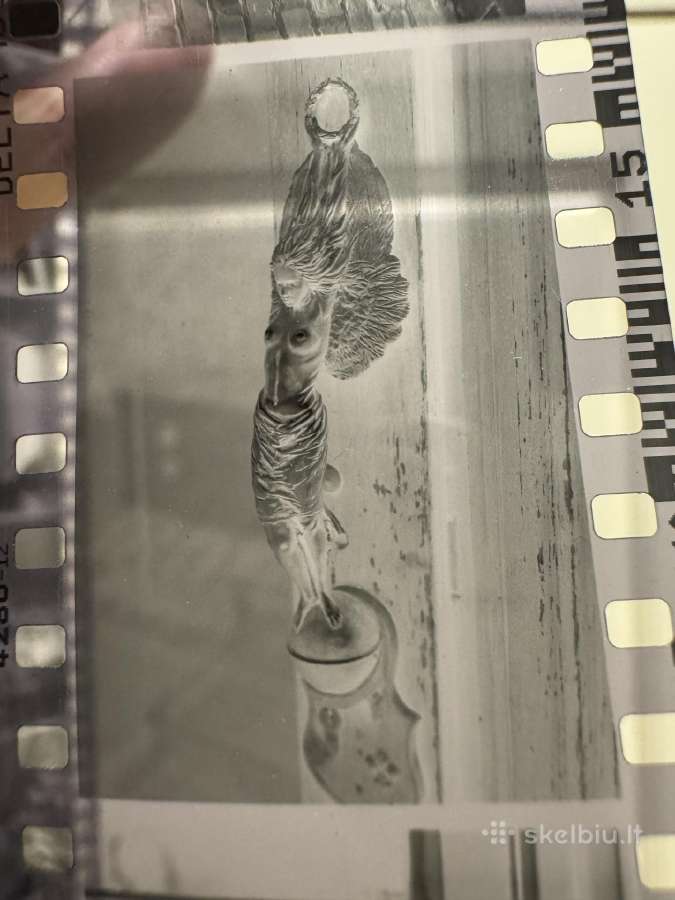 Leica M3 DS (R. Dichavičiaus) + Summicron 50mm Dr - nuotraukos Nr. 9
