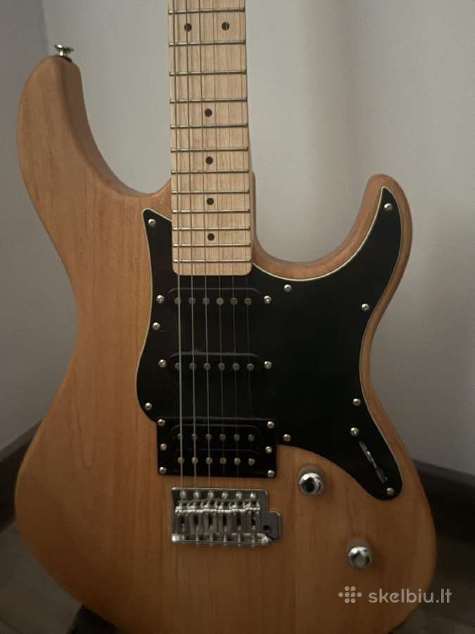 Gitara - nuotraukos Nr. 2
