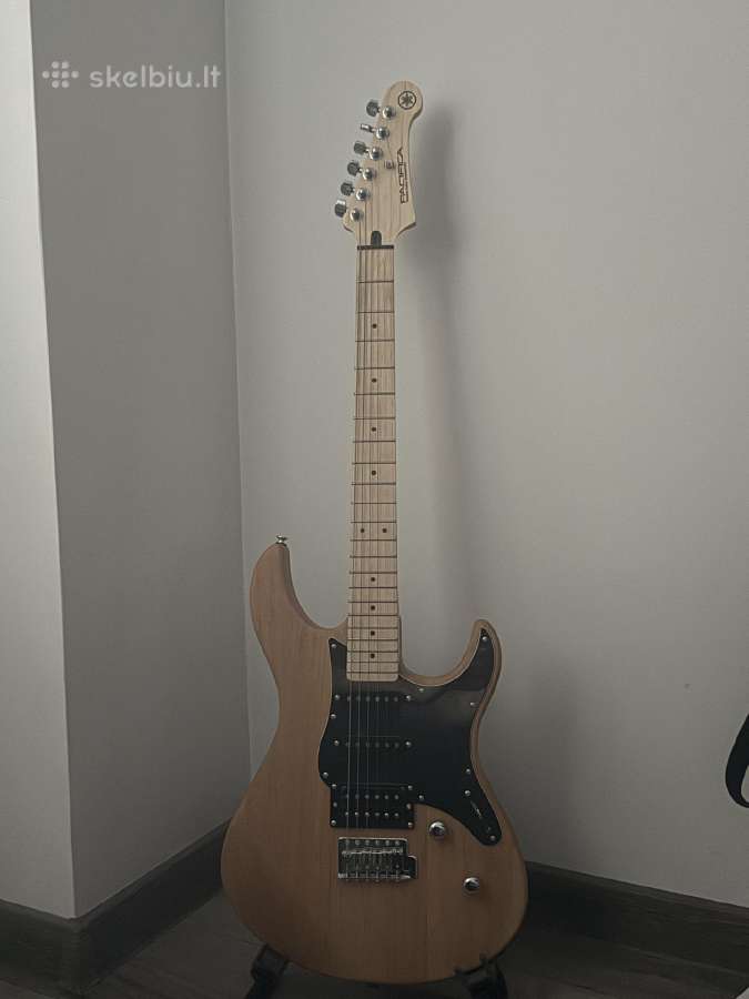 Gitara - nuotraukos Nr. 3