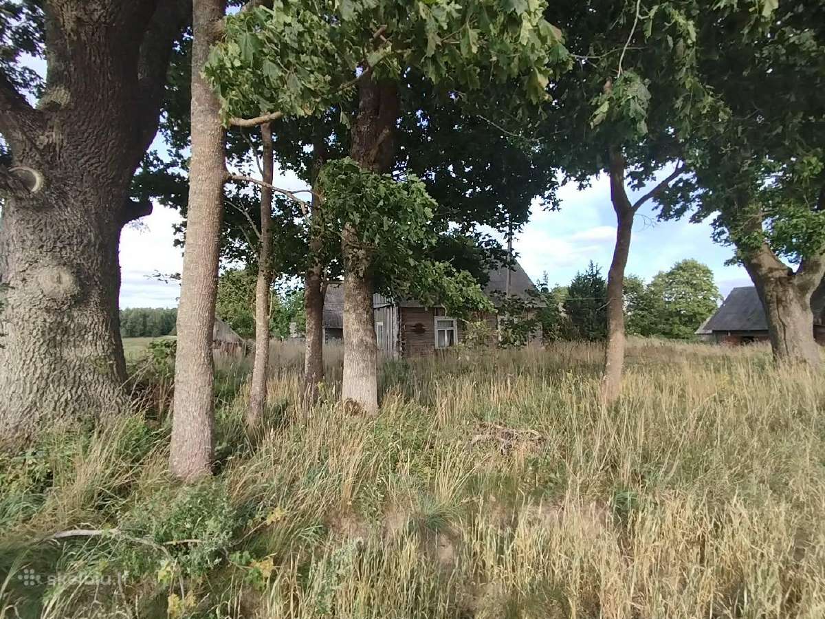 Parduodami 3 žemės sklypai Radviliškio Rajone - nuotraukos Nr. 6
