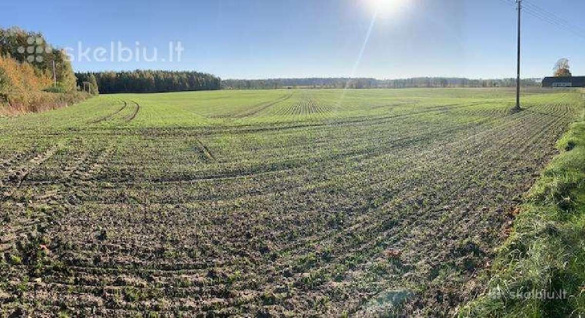 Parduodu arba keičiu žemę, 8.21 ha - nuotraukos Nr. 2