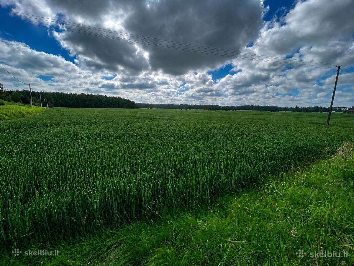 Parduodu arba keičiu žemę, 8.21 ha - nuotraukos Nr. 3