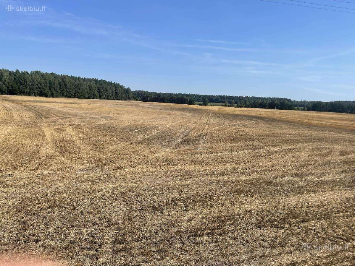 Parduodu arba keičiu žemę, 8.21 ha - nuotraukos Nr. 5
