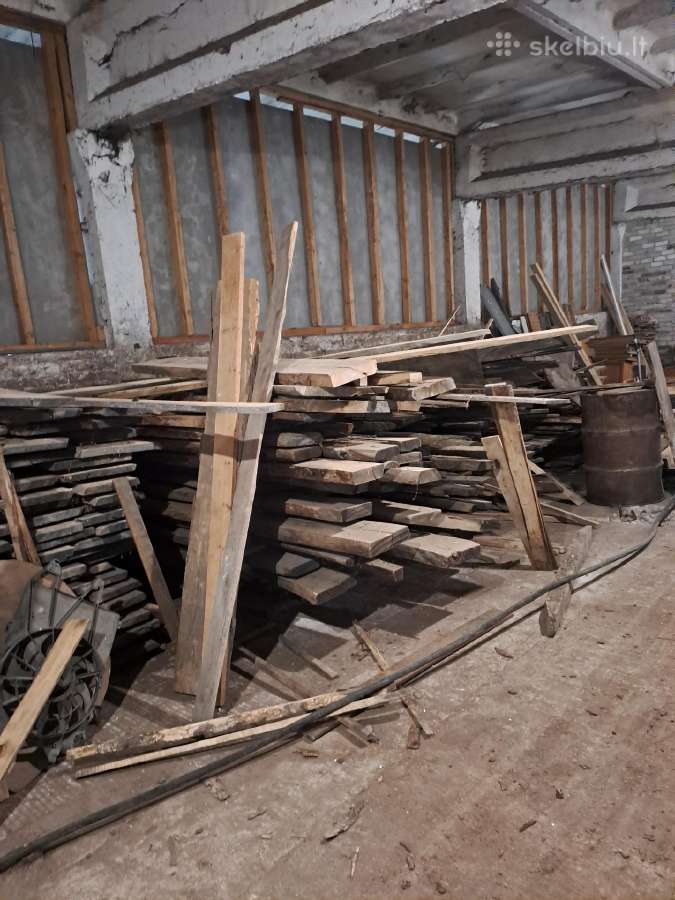 Sausos10-30 metų ąžuolas uosis juodalksnis pušis - nuotraukos Nr. 16