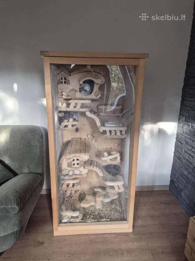 Sinsilos su narvu - nuotraukos Nr. 5