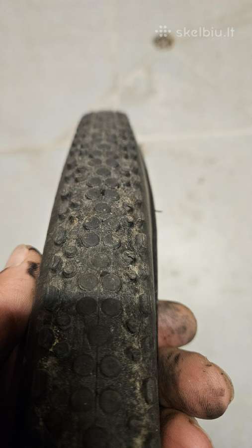 Schwalbe x-one allround padangos - nuotraukos Nr. 4