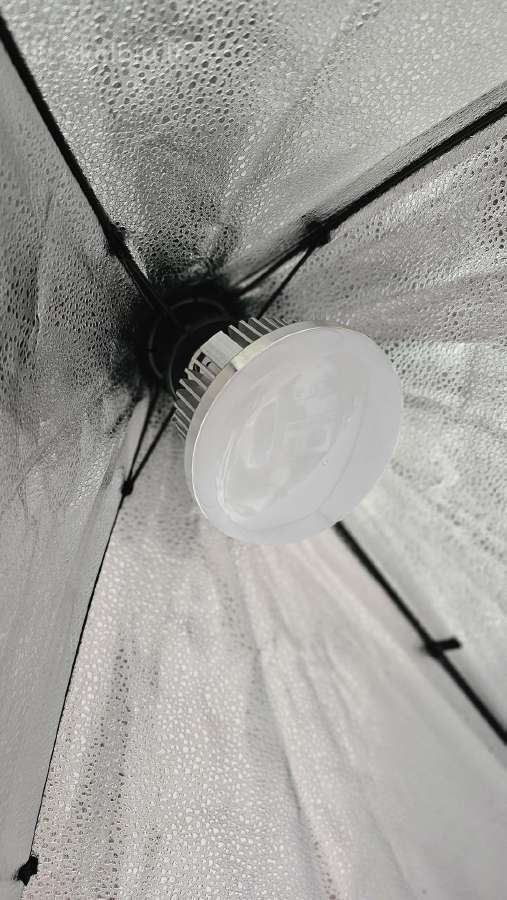 3vnt Softbox - nuotraukos Nr. 5