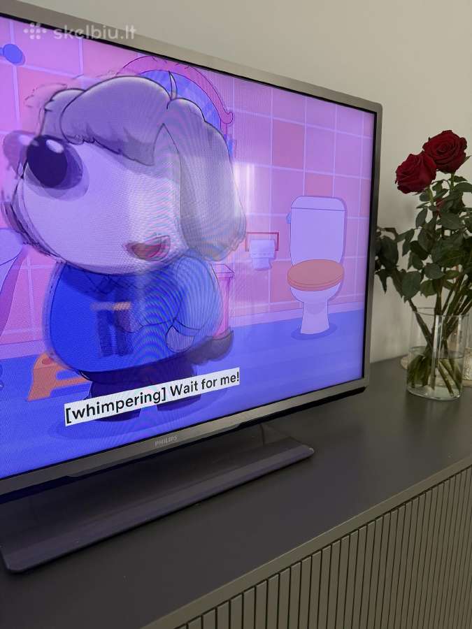 Philips Televizorius - nuotraukos Nr. 4